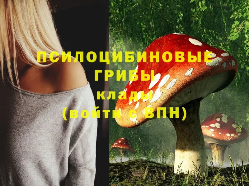 Псилоцибиновые грибы GOLDEN TEACHER  Калуга 