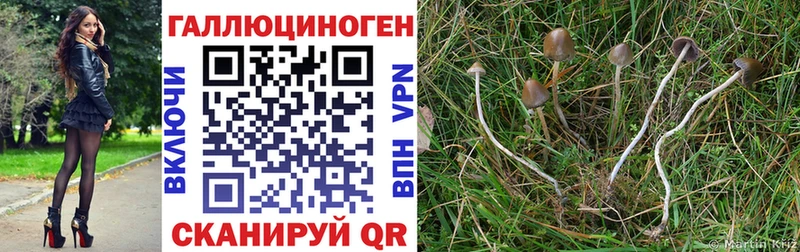 Псилоцибиновые грибы прущие грибы  сайты даркнета Telegram  кракен сайт  Калуга  как найти наркотики 