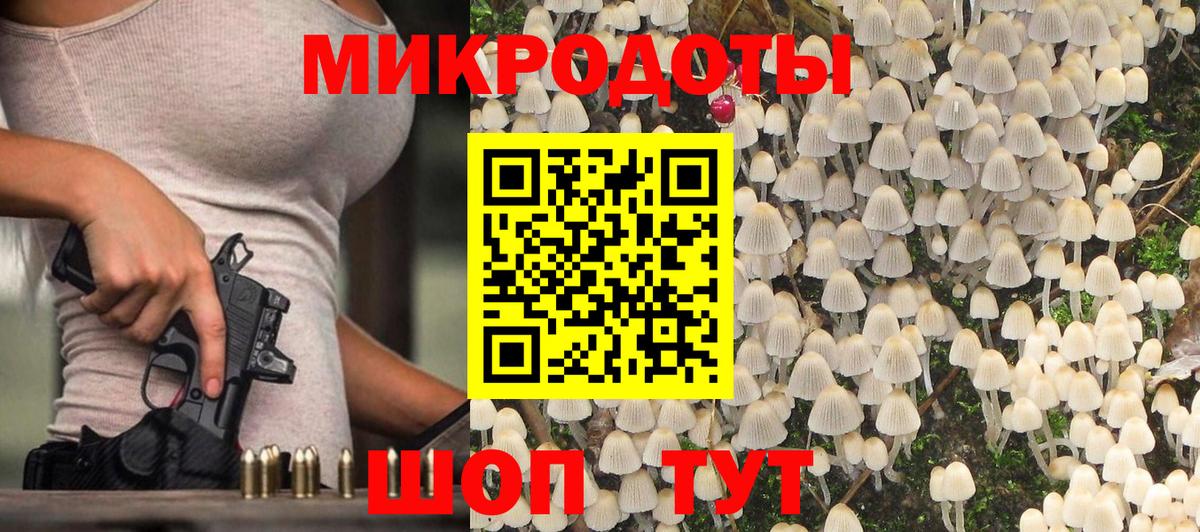 Галлюциногенные грибы Cubensis Калуга