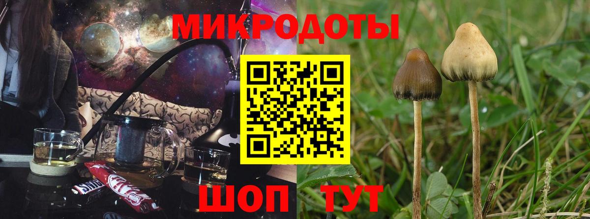 Псилоцибиновые грибы мицелий  Вход с VPN  Калуга 