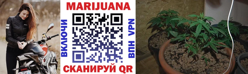 blacksprut сайт  Калуга  Шишки марихуана THC 21% 